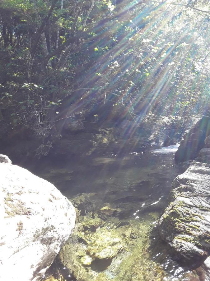 Pietracorbara Les Chênes * Oreta